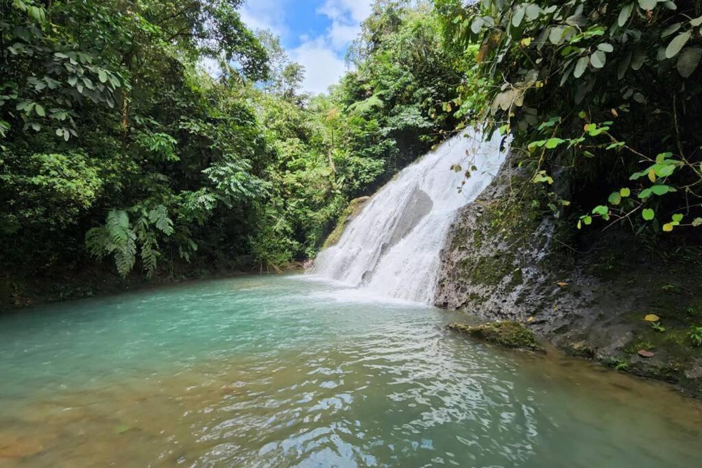 Casa De Campo Con Piscina, Canchas, Cascada Y Piscina Natural Pedro Vicente Maldonado Exterior foto